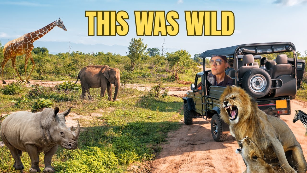SAFARI DAY |* LIONS * ELEPHANTS * ZEBRAS !!