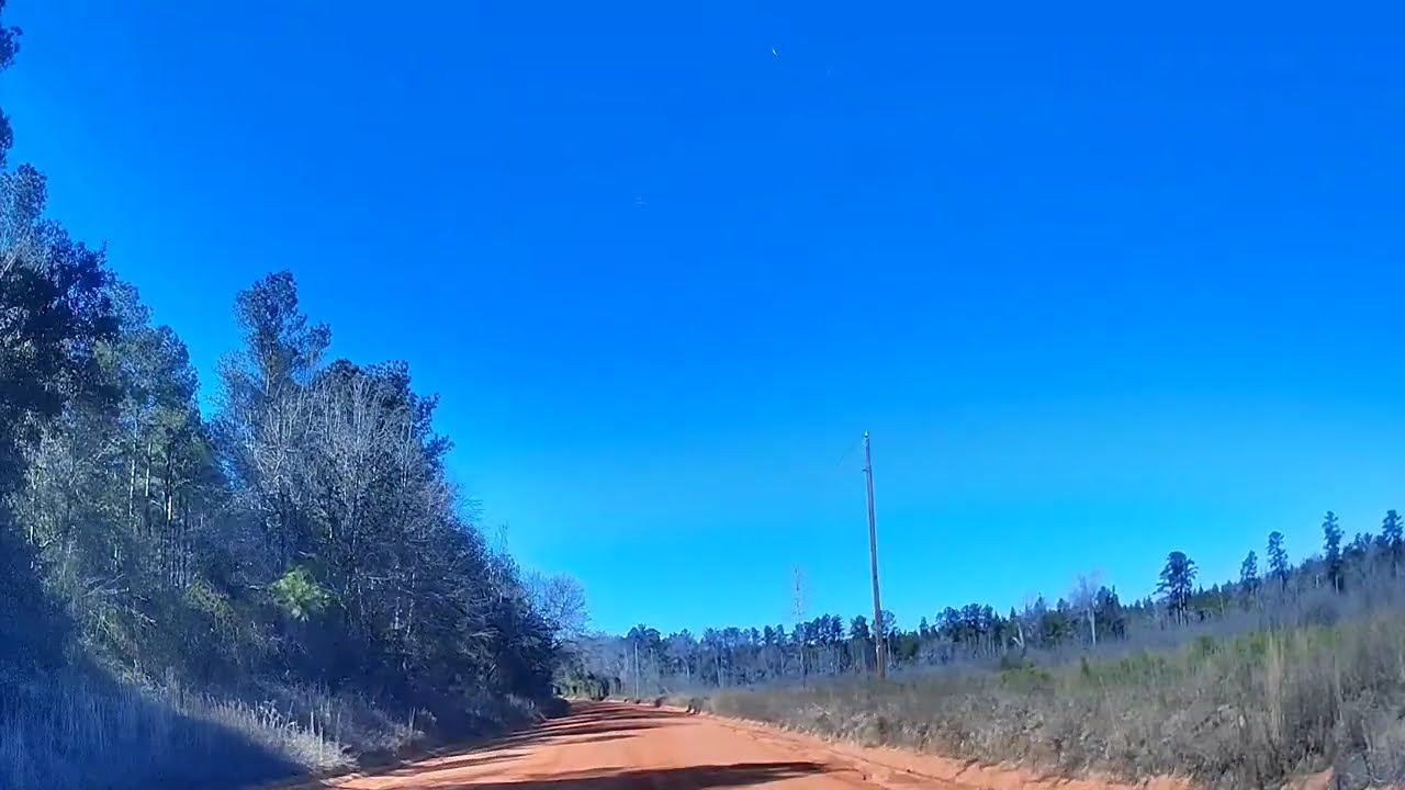 Dirt Road Drive | Bill Davis to Alexander Community, Georgia