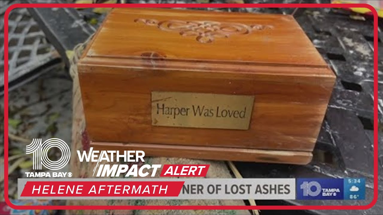 Siesta Key residents find box of ashes washed up by Helene