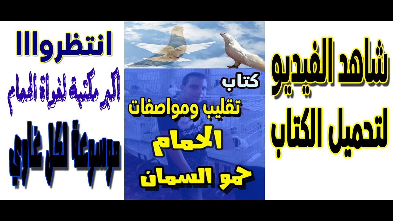 كتاب تقليب ومواصفات الحمام