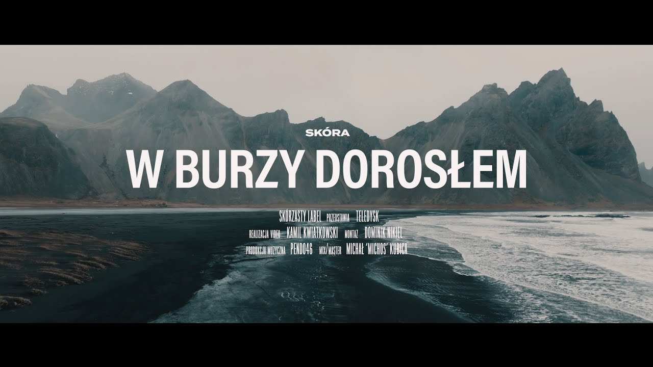 Sk&oacute;ra - W burzy dorosłem (prod.Pendo46 x Lexnour)