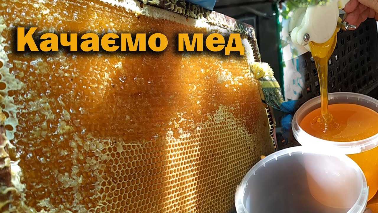 Качаємо мед.