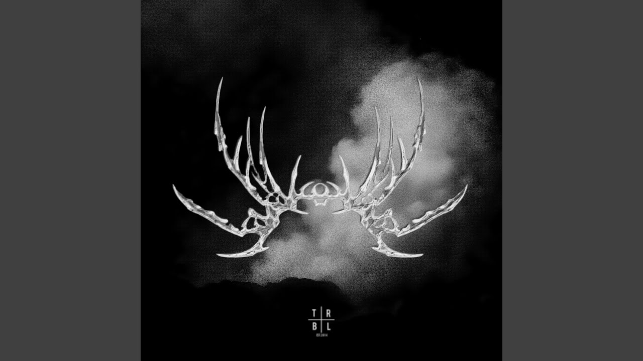 THE VOID (Slowed)