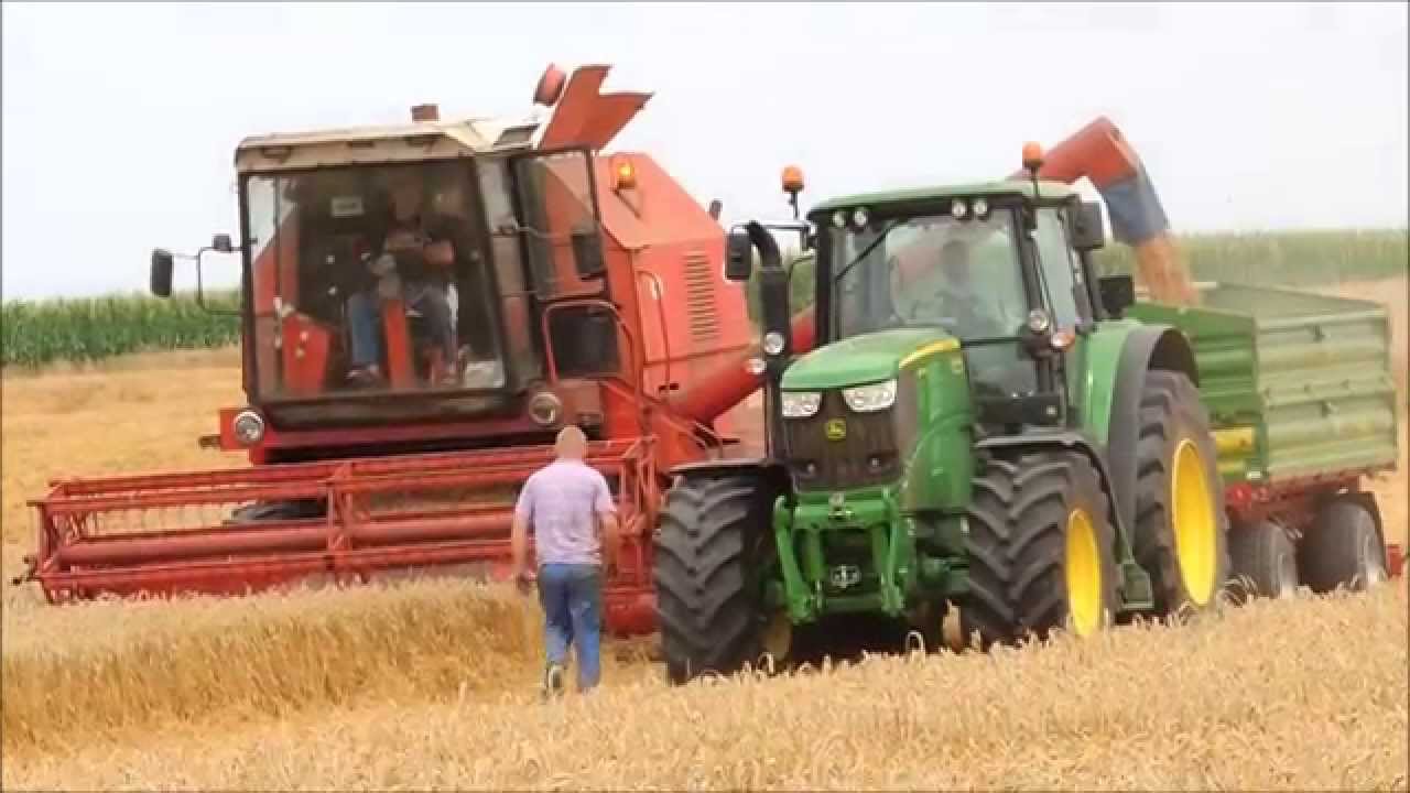 Żniwa 2014 // Pszenica // John Deere Zetor Bizon // HD