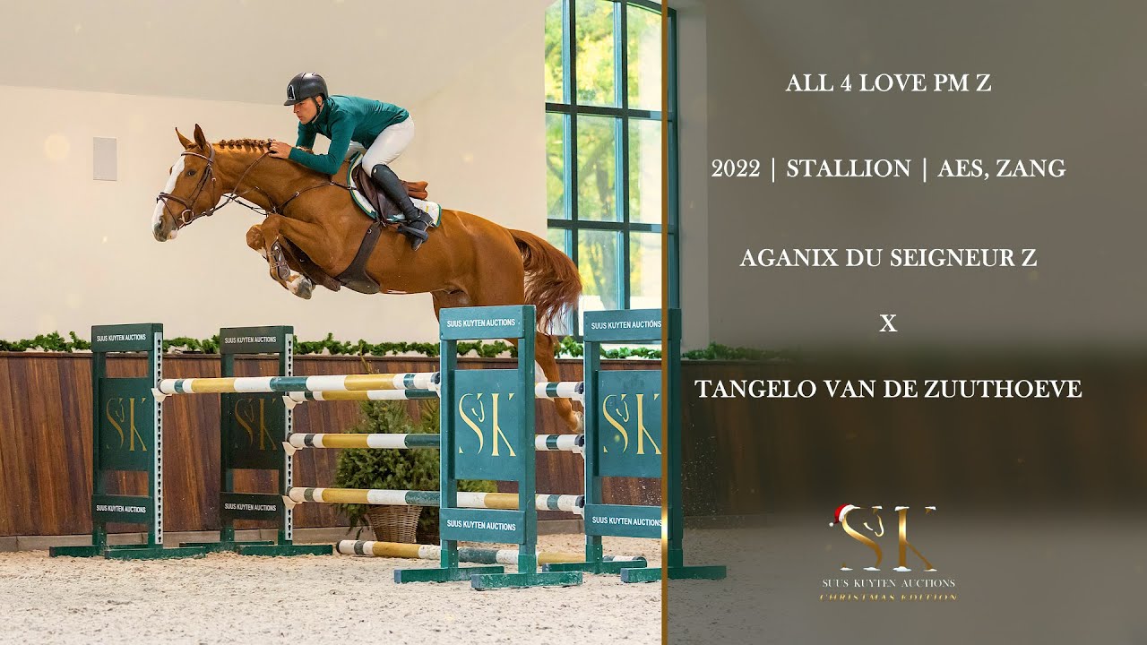 ALL 4 LOVE PM Z (Aganix du Seigneur x Tangelo van de Zuuthoeve)