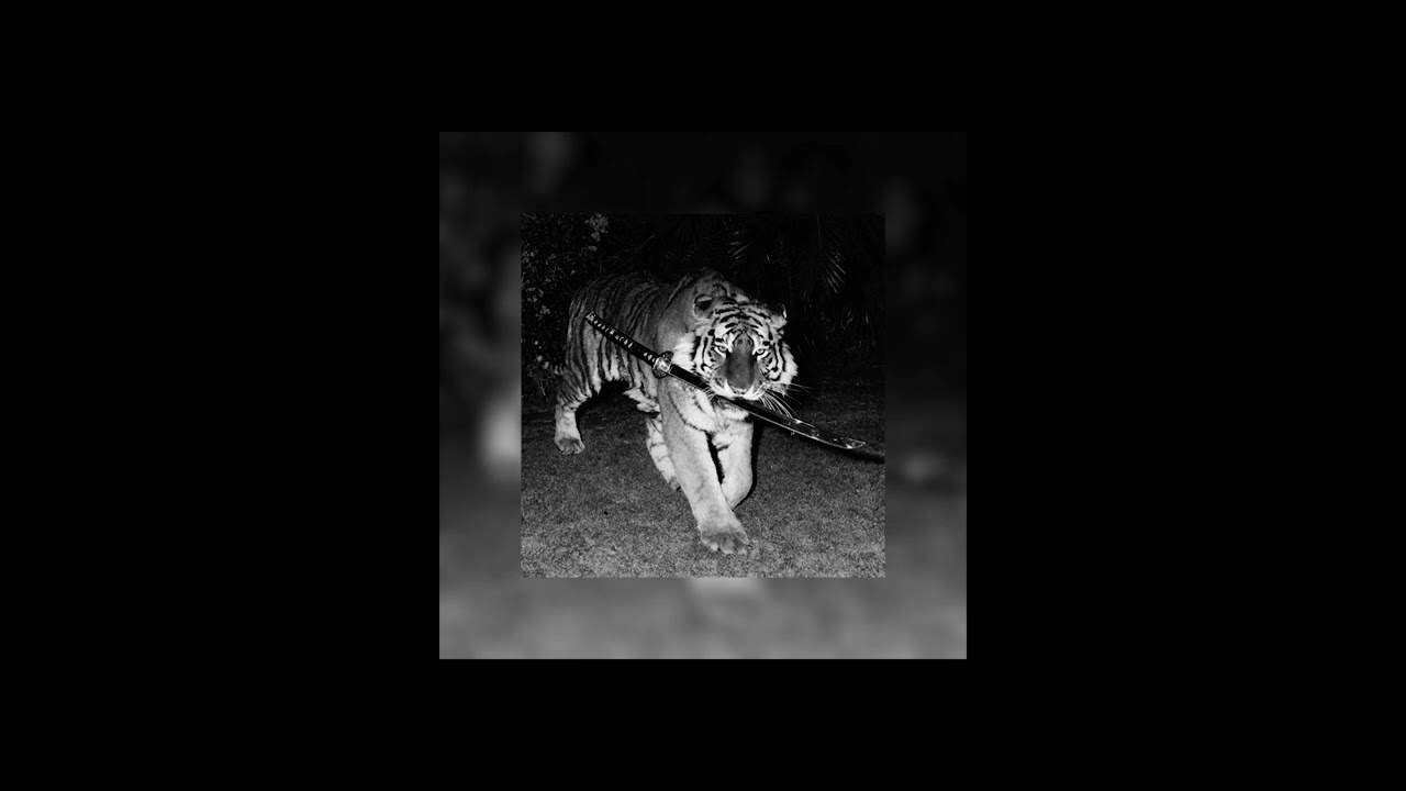 "Lonely" | Trap Type Beat | Freestyle Beat | Rap Type Beat 2026