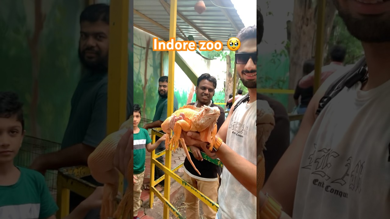 Indore zoo || zoo chidiya Ghr || indore || zoo || chidiya Ghr #indorevlog #indorevibes #ashortaday