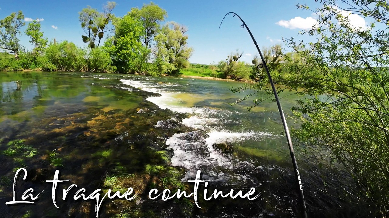 Truites géantes en grande rivière : la traque continue.