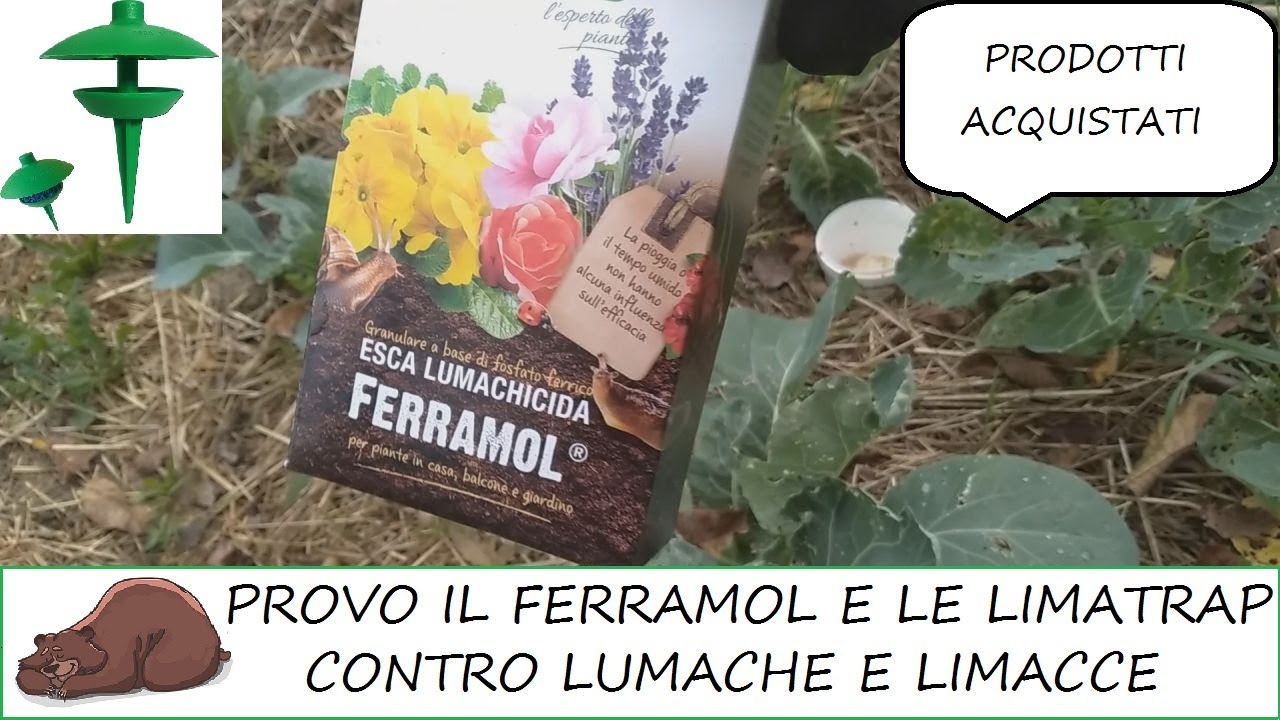 Lumache sui cavoli! come eliminarle col Ferramol!