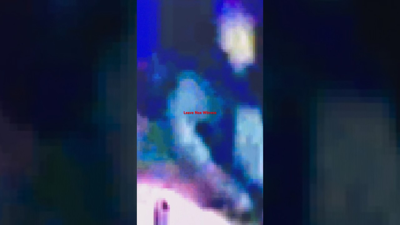 Kenneka Jenkins Being Carried on original footage 