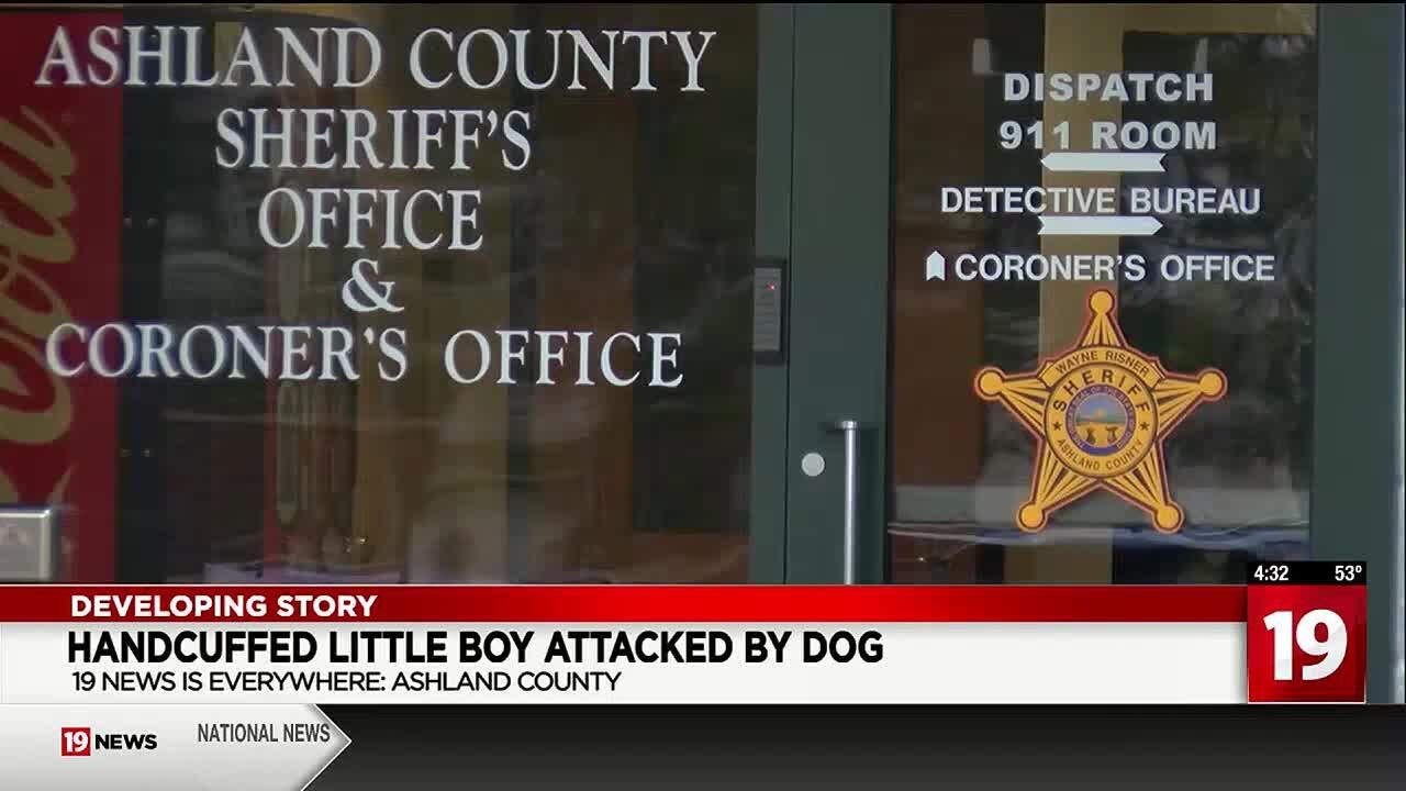 Handcuffed child attacked by dog