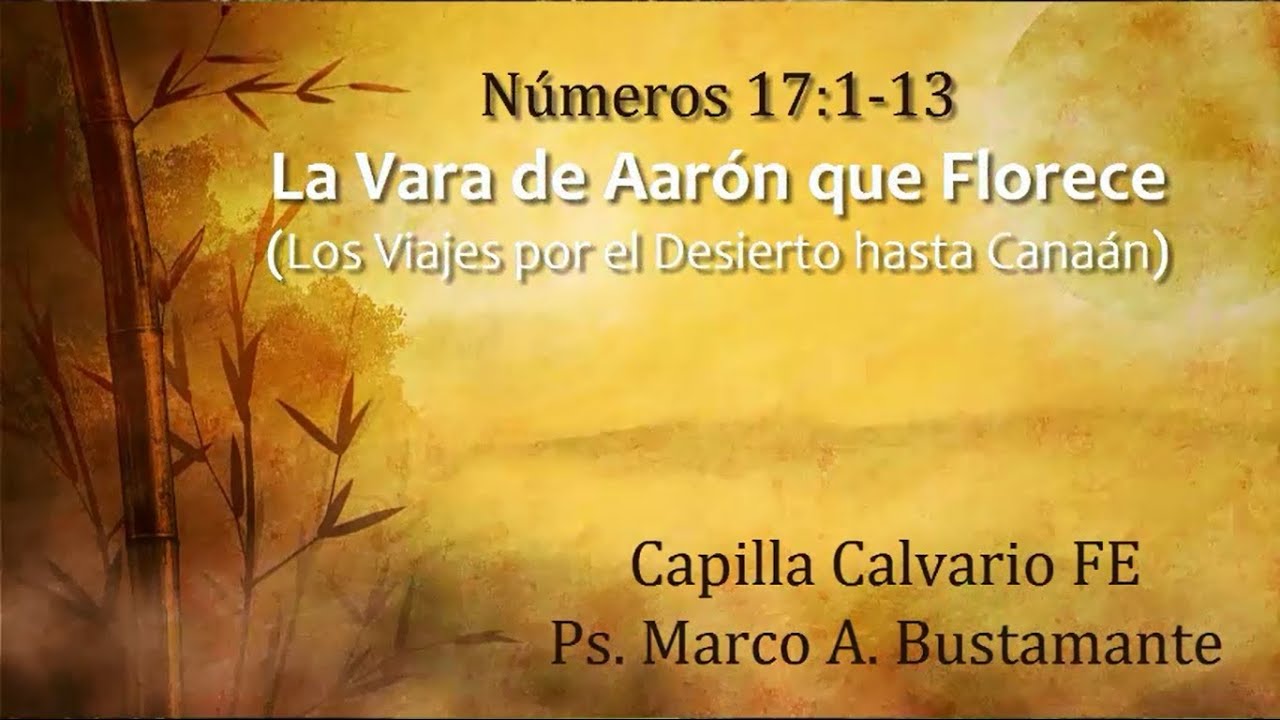 Números 17:1-13 - LA VARA DE AARÓN FLORECE