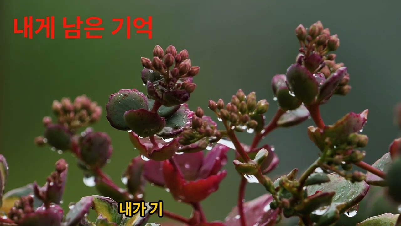 내게 남은 기억