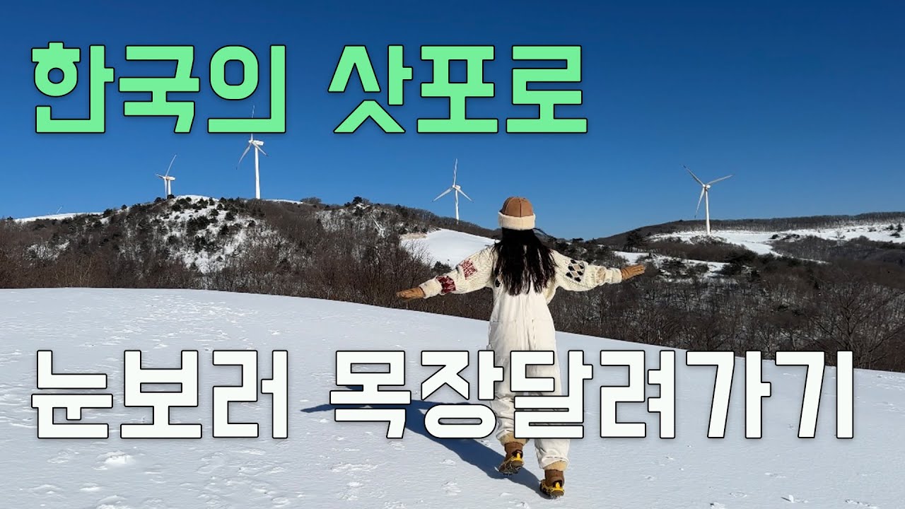 43) 한국의 삿포로 삼양목장 달려가기 - 삼양목장, 삼양라운드힐, 겨울최고의여행지, 평창, 용평리조트, 발왕산케이블카