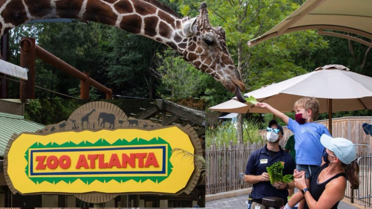 Visit to ZOO ATLANTA