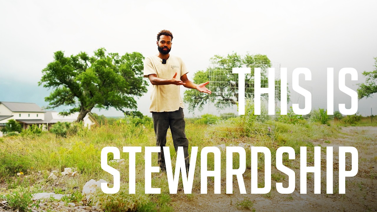 The Difference Between Owning Land and Caring for It