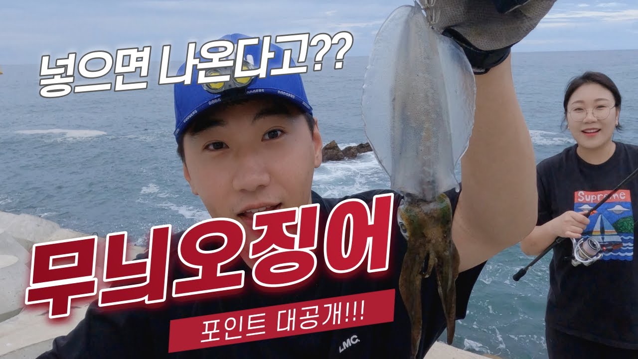 무늬오징어 잡기가 이렇게 쉽다고?🦑 /오징어계의 황제 나도 잡아봤어 / 포인트 대공개