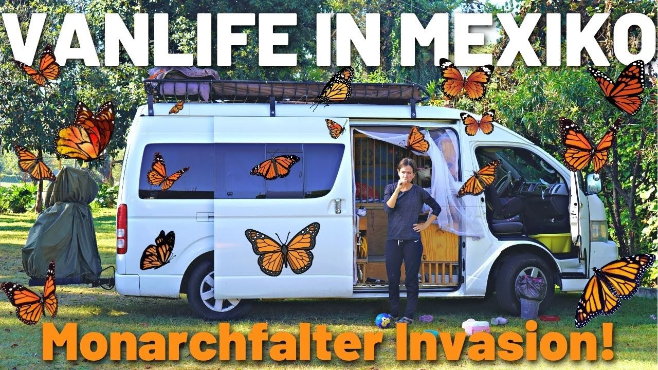 Unser Alltag in Mexiko: Monarchfalter + Vanlife + Radtour