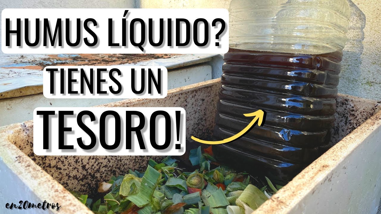 Cómo usar el “HUMUS” LÍQUIDO: FERTILIZANTE CASERO GRATIS || en20metros