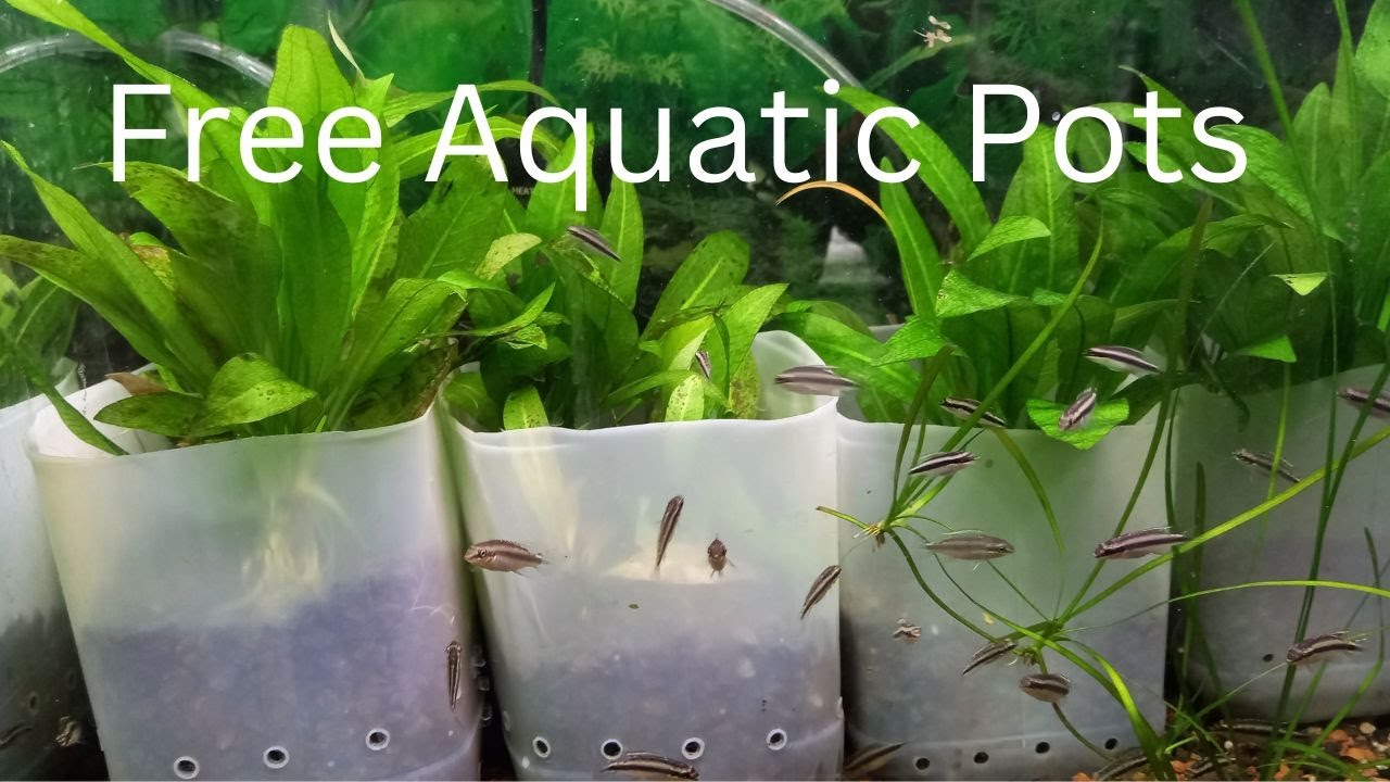 Easy DIY Aquarium Plant Pots for FREE