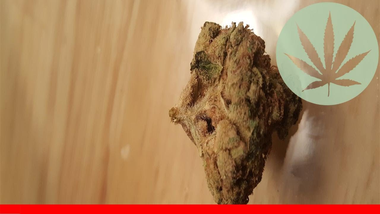 Chem Sis - All About This Strain