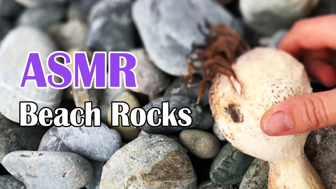 ASMR | Rocky Beach Walk - Stones & Pebbles, Ocean White Noise, Nature Tingles | Lofi 💤