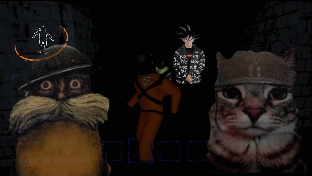 1000 quota stare compilation  -LEATHAL COMPANY-  (PTSD WARNING)