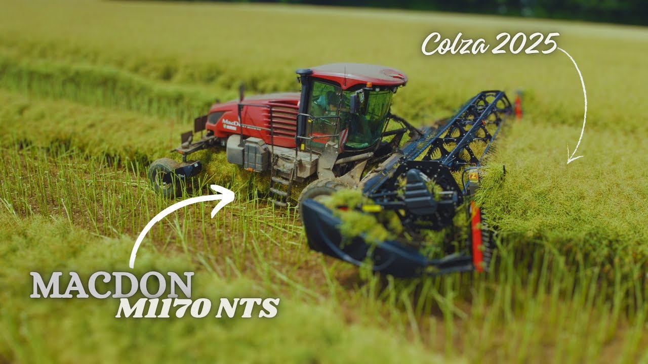 🌿 Colza 2025 | MacDon M1170 NTS