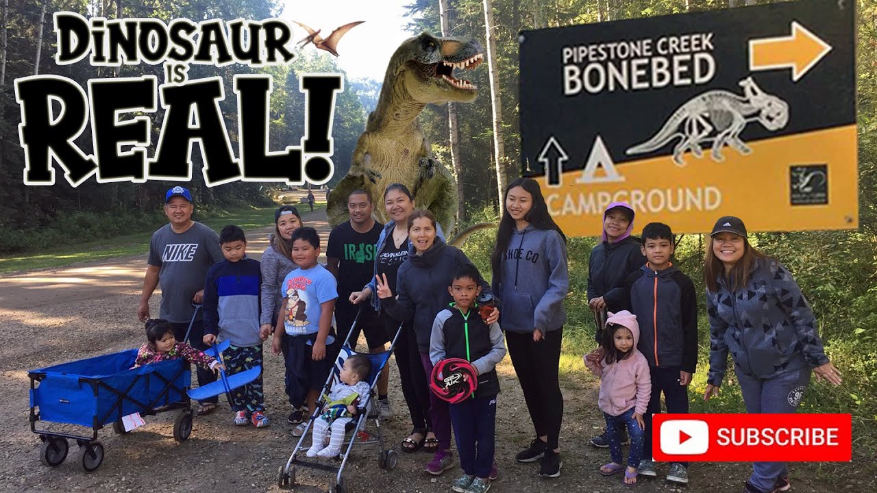 DINOSAUR is REAL !!!!  Bonebed dinosaur 