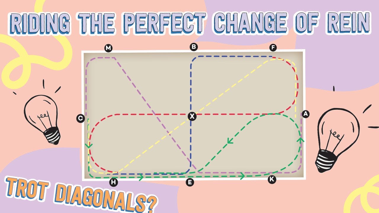 Trot diagonals explained and how-to ride the perfect change of the rein 💪🏼