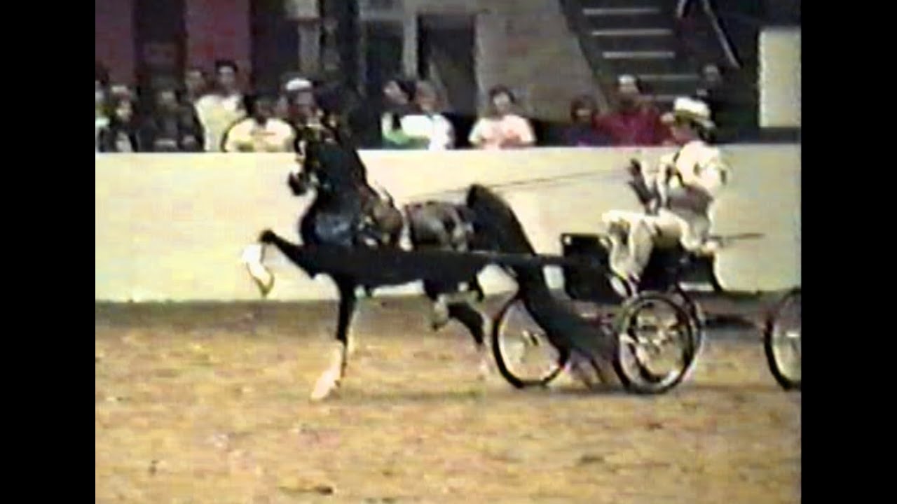 Mark Of Success 1989 Eastern States Exposition
