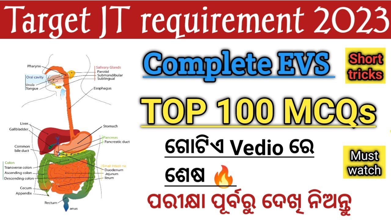 Junior Teacher 2023 | Complete EVS | TOP 100 🔥MCQs| ଗୋଟିଏ Vedio ରେ ଶେଷ| Human Digestive system