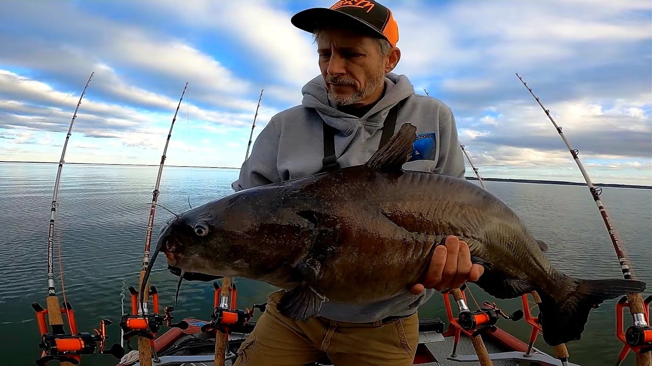 Пришвартовались на озере Моултри для зимней ловли сома.
