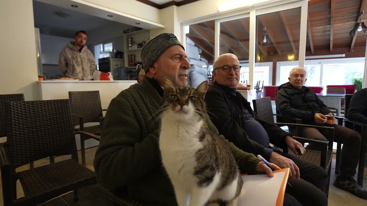 Demircili Koyu Tehdit Altında: Kaçak Gemi Sökümüne Tepki Büyüyor