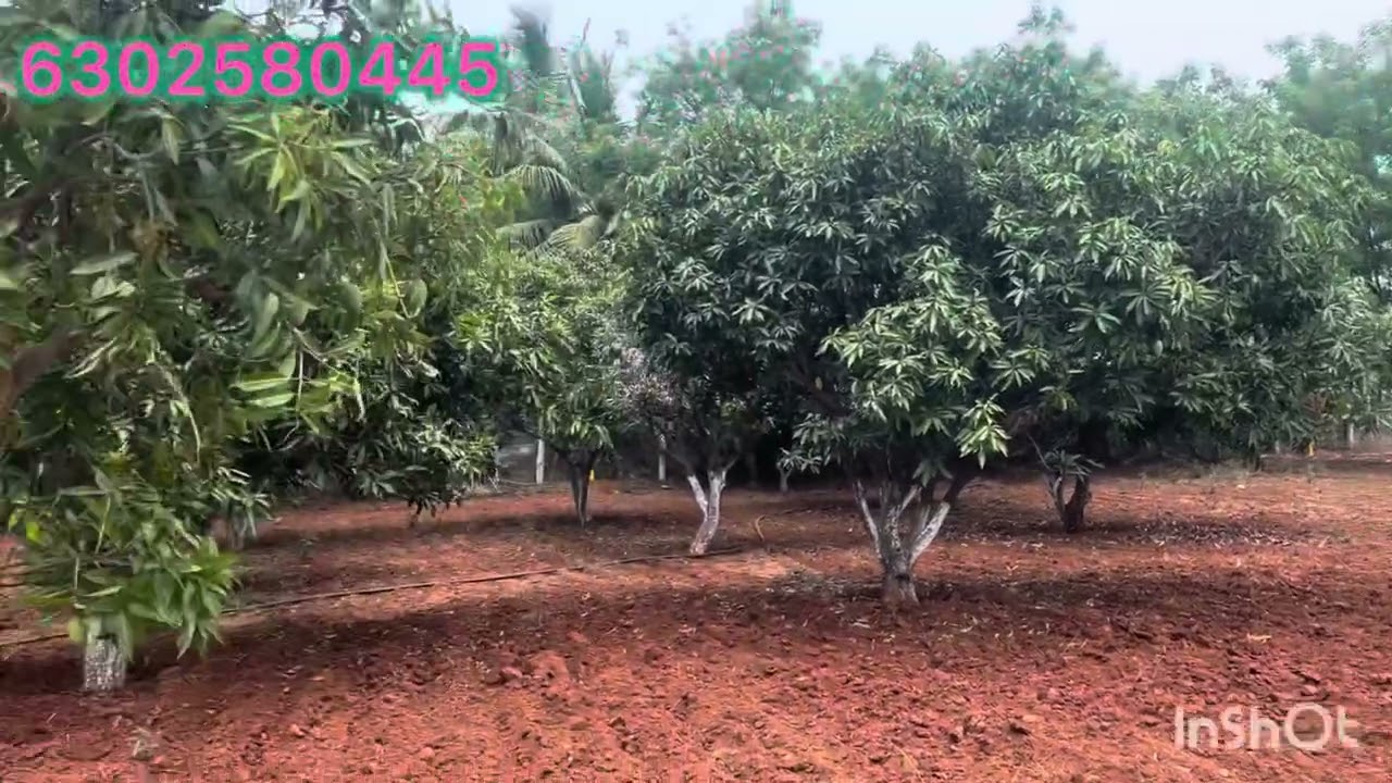 9Acres land for sale at Chilkur village at Moinabad