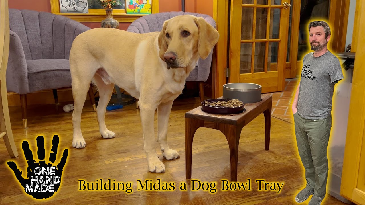 DIY Dog Bowl Tray How-to 🐶🐶🐶