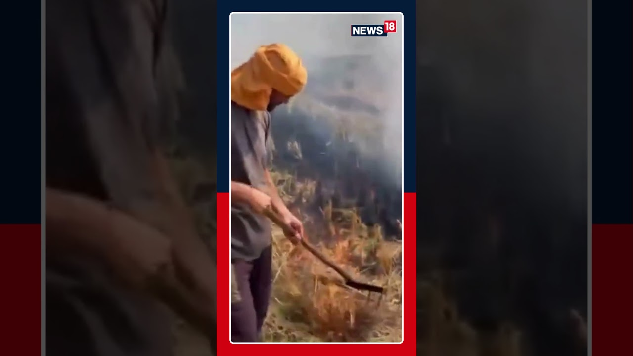 An incident of stubble burning seen in an agricultural field in Begwali village, Fazilika | N18S