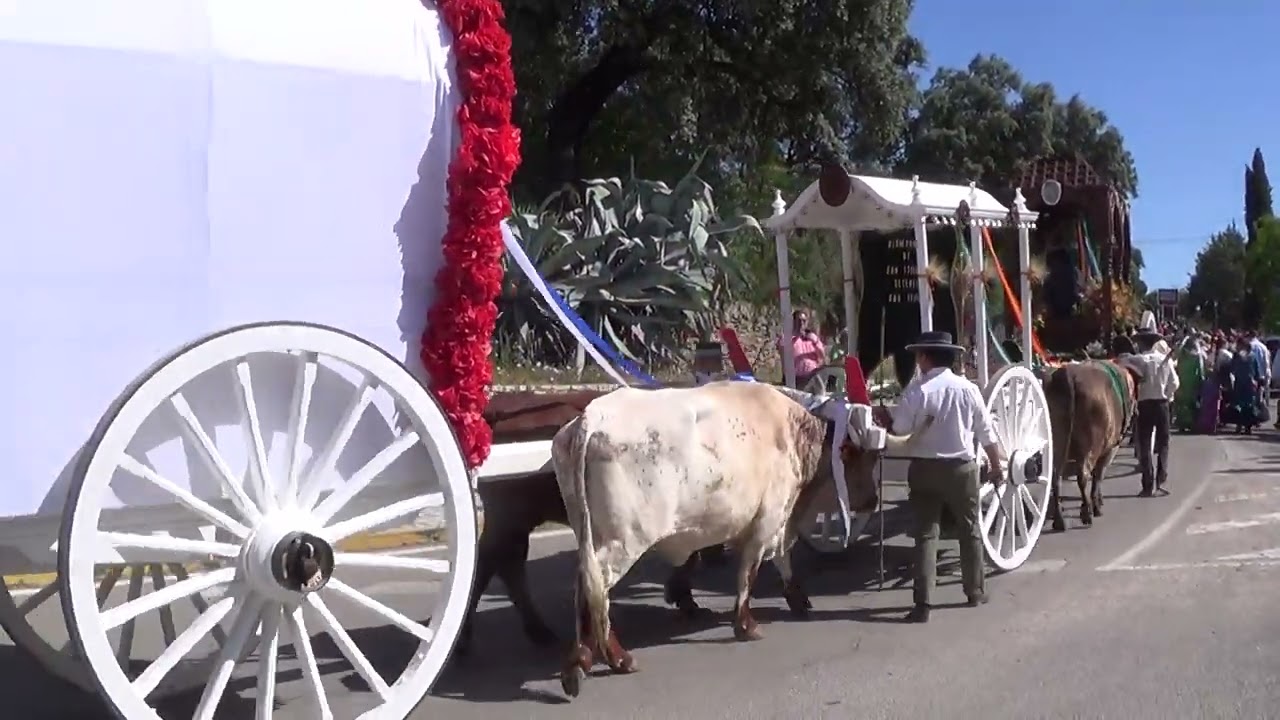 ROMERIA DE  SETENIL 024