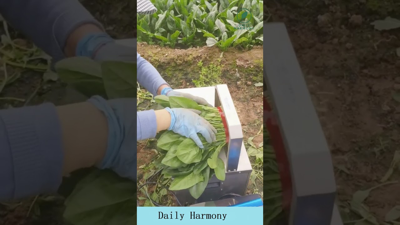 Genius Vegetable Packaging Hack  Fast & Easy Farm
