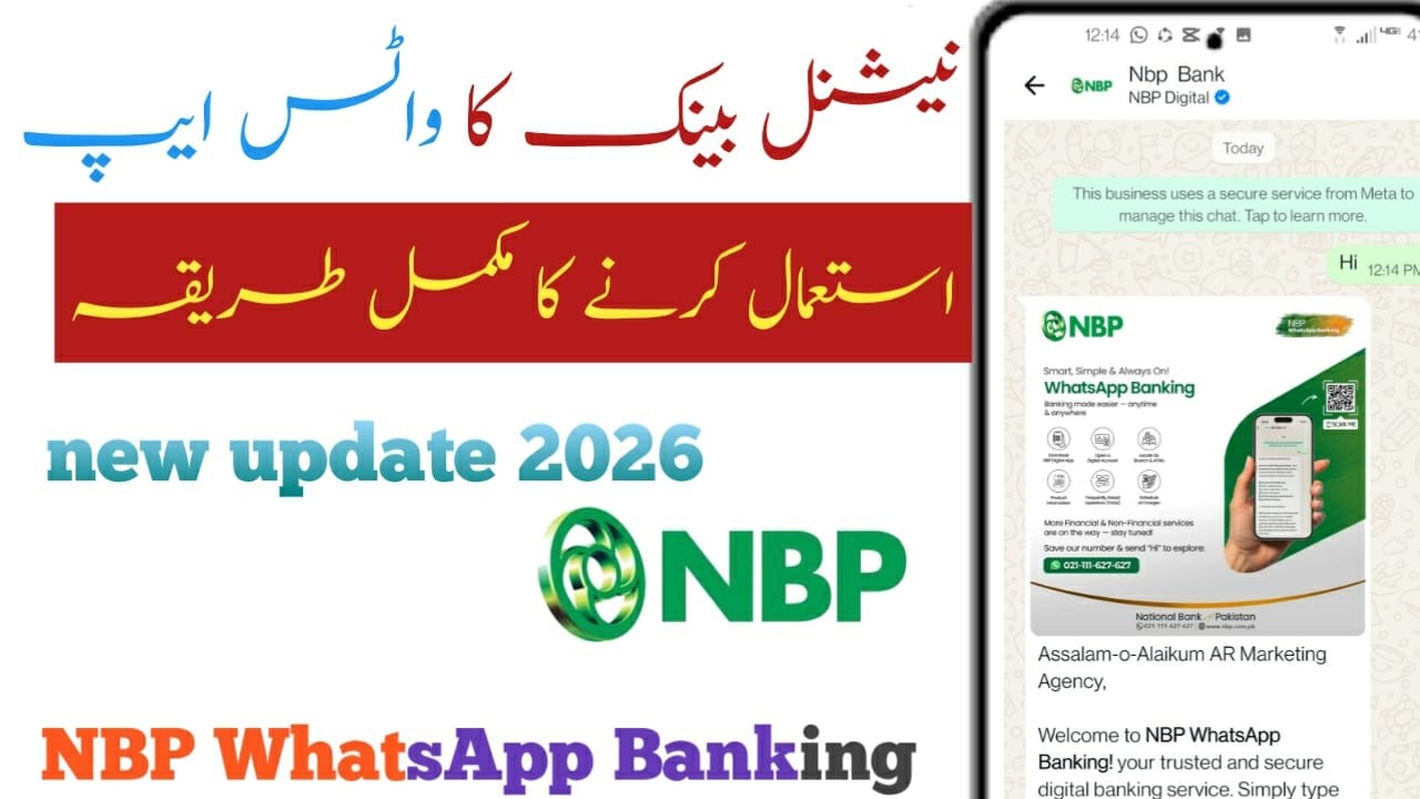 NBP Whatsapp balance check online. NBP Whatsapp Number New Update\\2026