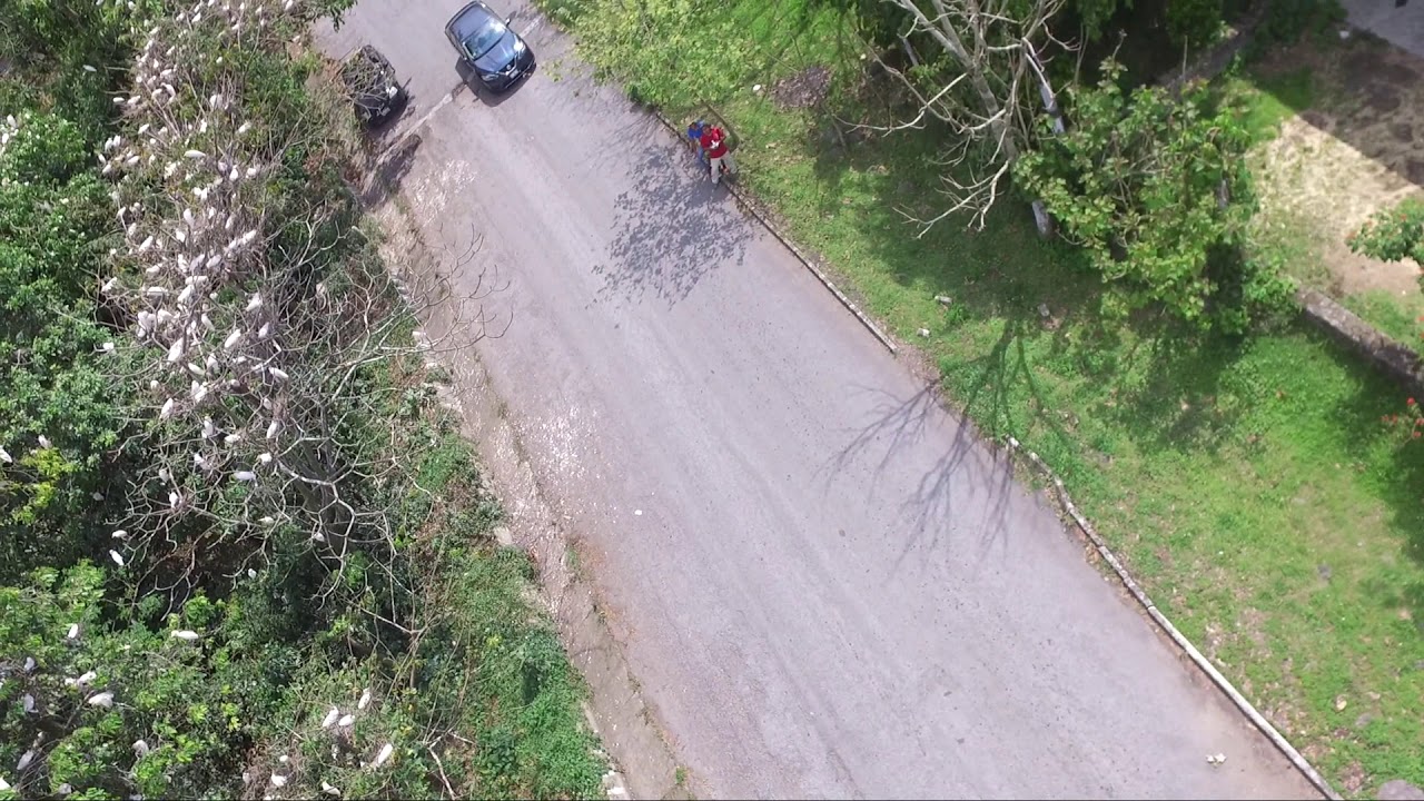 🔴⏺️👉DESDE MISANTLA VERACRUZ MEXICO, SANTUARIO DE LAS GARZAS