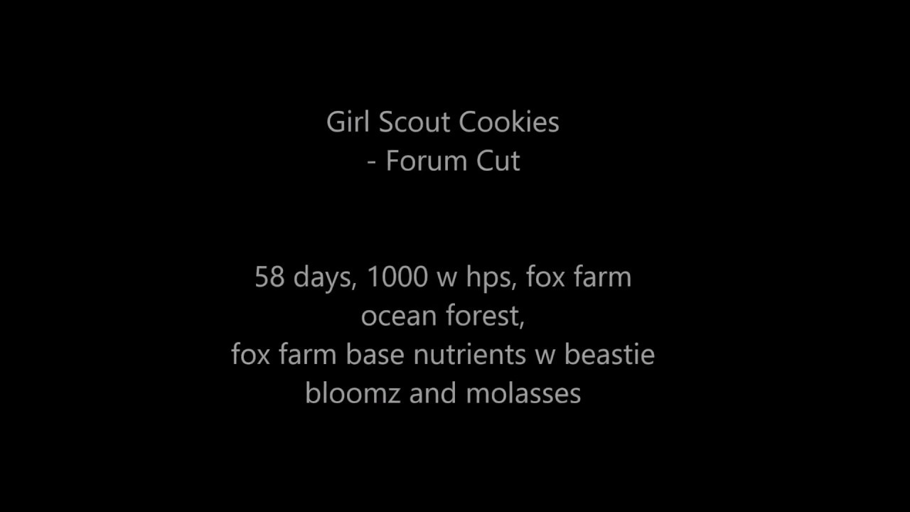 Girl Scout Cookies - Forum Cut