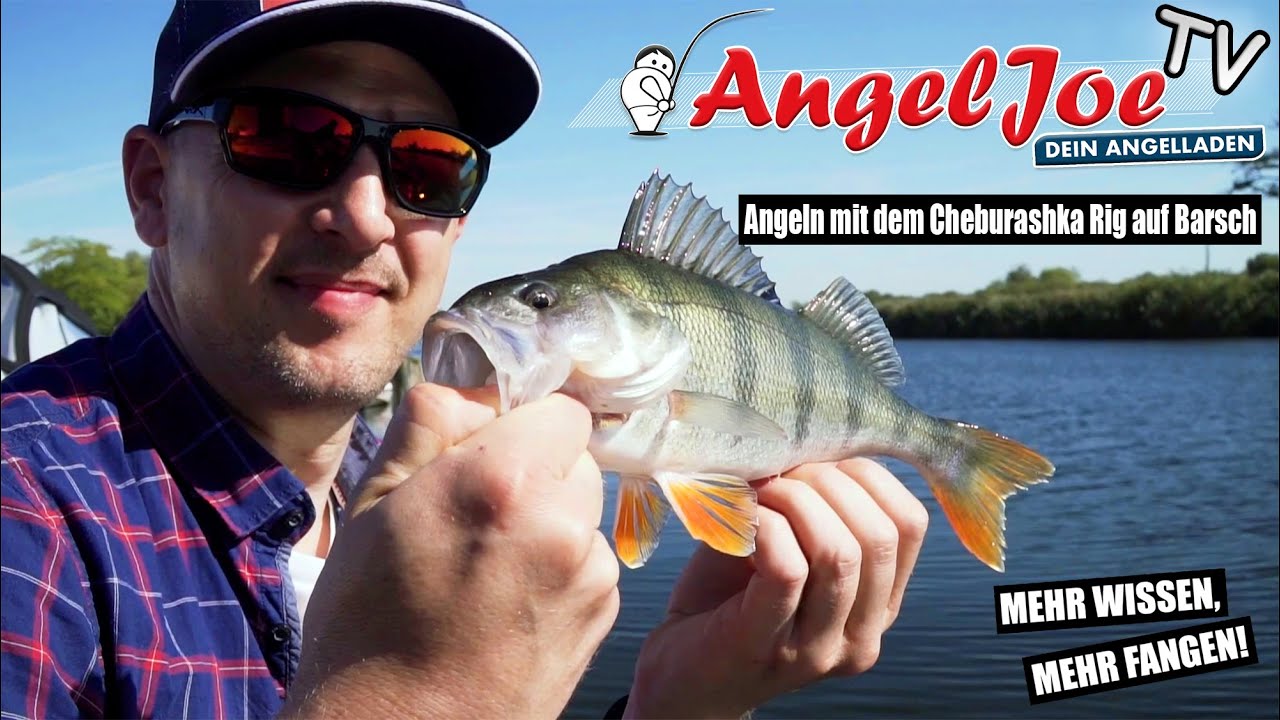 Barsche fangen mit dem Cheburashka Rig - AngelJoe TV - Tackle Check