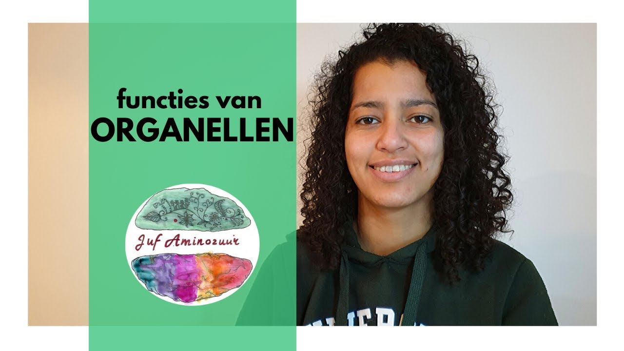 Organellen van de cel en hun functies (HAVO en VWO)