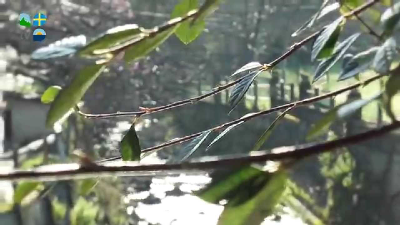 Bimenes - Turismo Asturias Televisi&oacute;n