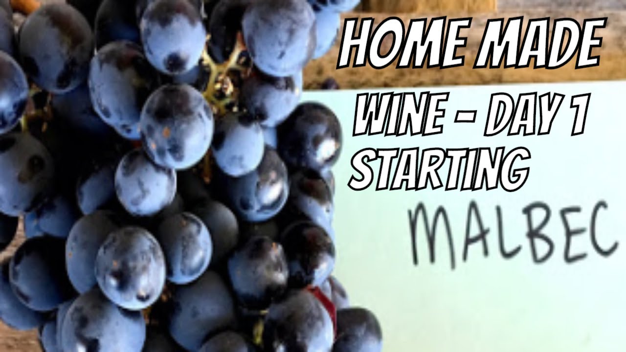 How to make wine - Day 1 - Starting Brew - Homemade Malbec