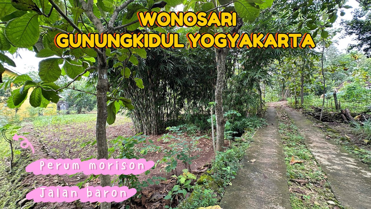 Tanah pekarangan di wonosari dekat perum morison dan jalan baron