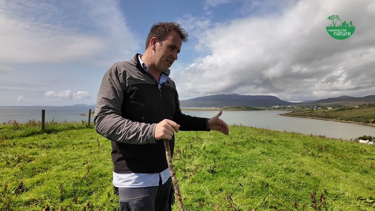 Making Peace with the Thistle on a Mayo Sheep farm - Farming for Nature Ambassador Colum Ginnelly