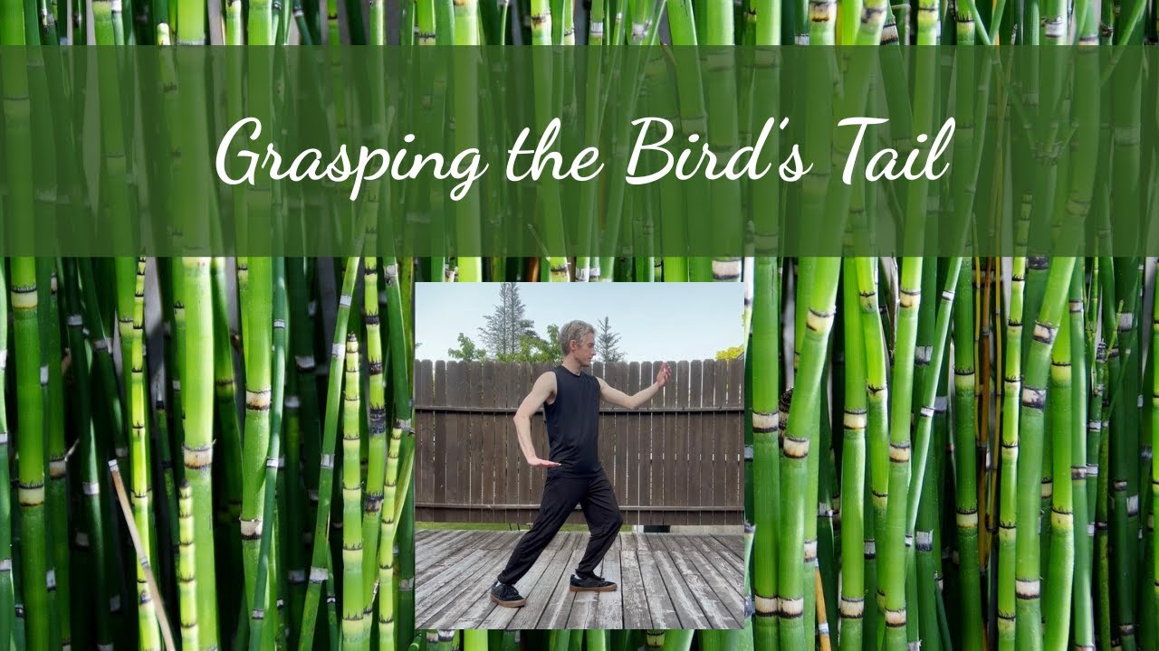 Tai Chi Tutorial - grasping the bird's tail