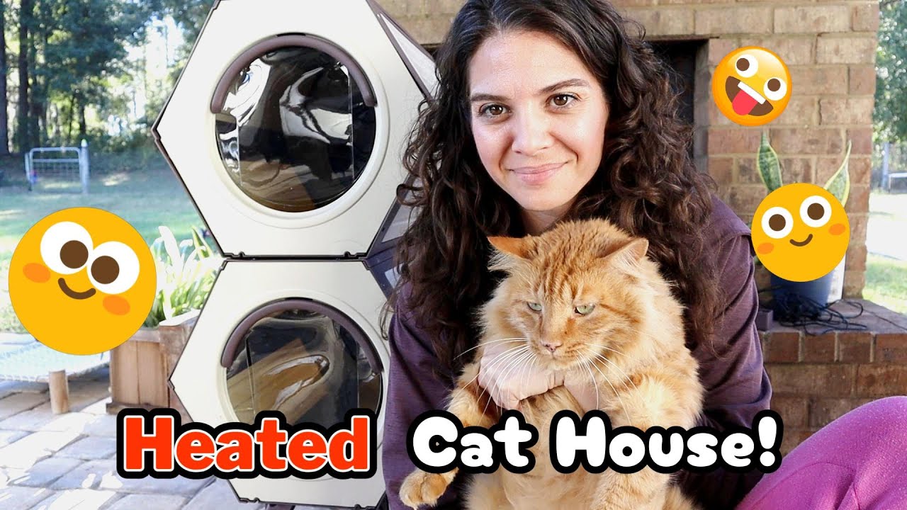 Keep them warm with this Heated Cat House by Aivituvin
